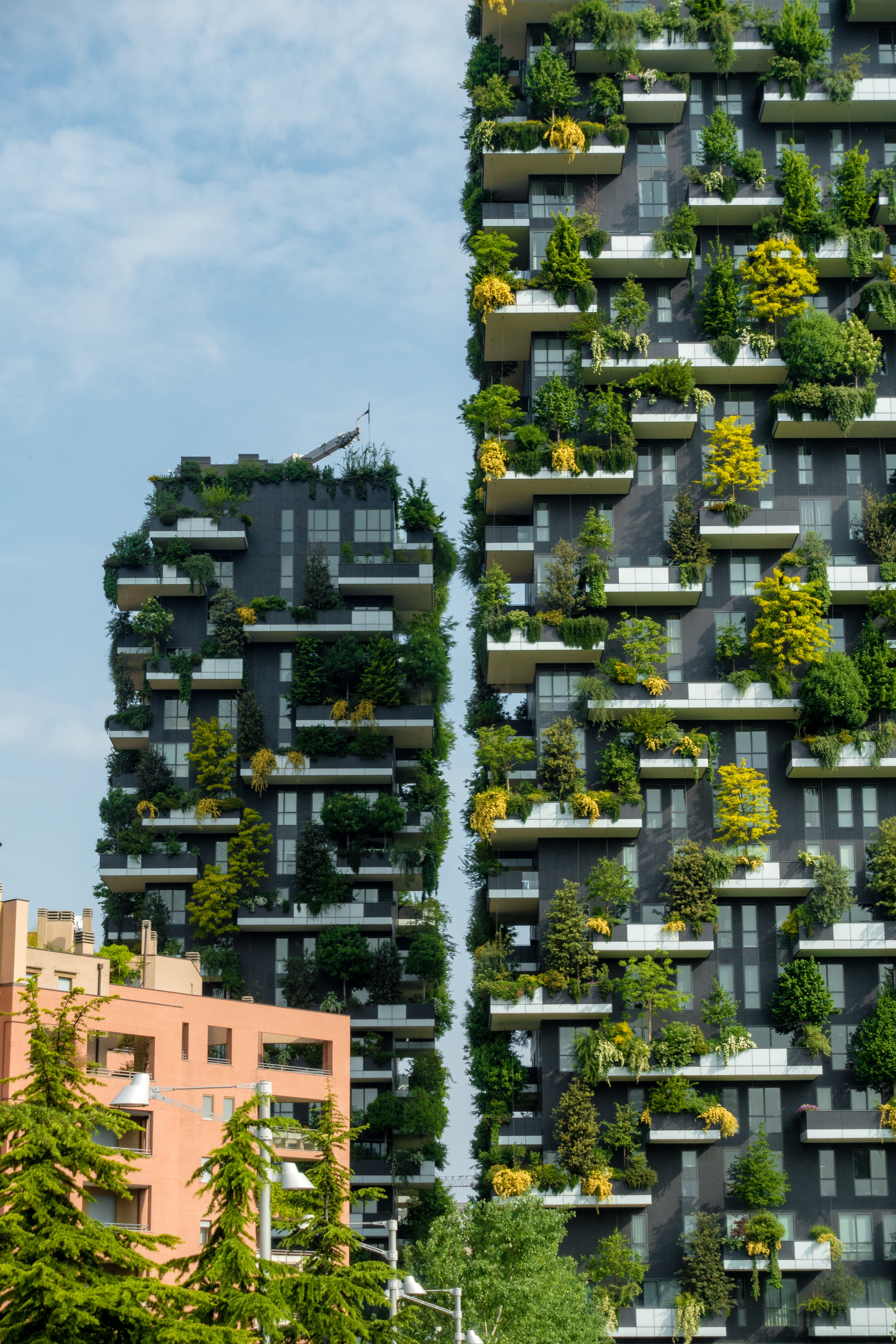 foto del Bosco verticale a MIlano per concerto dei Maneskin